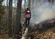 Тушении лесного пожара в районе озера Ястребиное