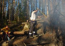 Тушении лесного пожара в районе озера Ястребиное